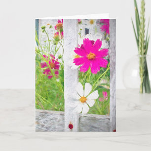 thinking of you-cosmos flower garden card