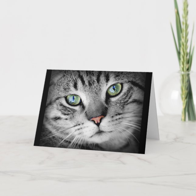 Thinking of You Cute Grey Kitty Cat Card (Front)