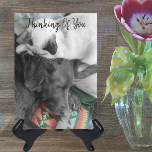 Thinking Of You Cute Kitten On Labrador's Head Card