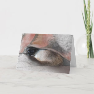 Thinking of You Cute Siamese and Blanket Sketch Card