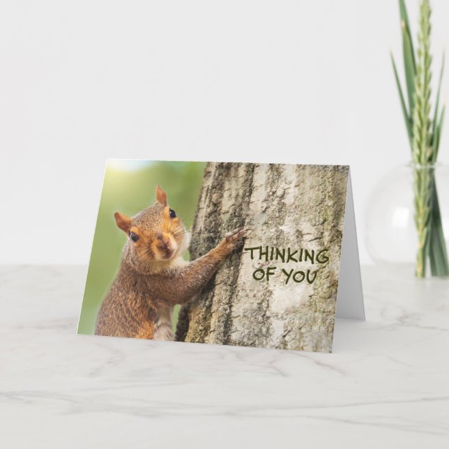 Thinking of You Cute Squirrel Climbing Tree Photo Holiday Card (Front)