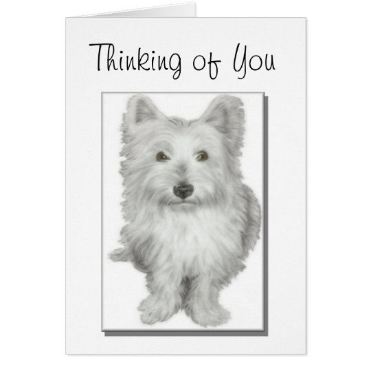 'thinking of you' cute westie dog card