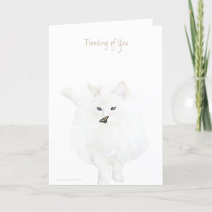 Thinking of you: cute white cat card