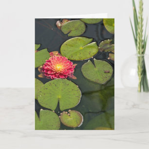 Thinking of You Dahlia in Lily Pads Card