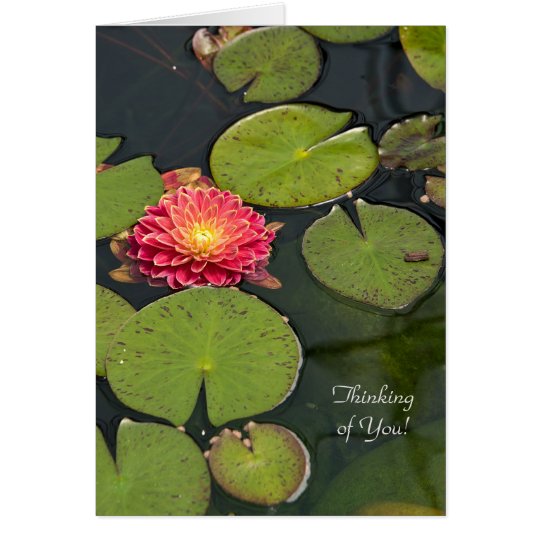 Thinking of You dahlia in lily pads Card