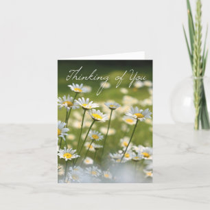Thinking of You   Daisy Flower Photo Card