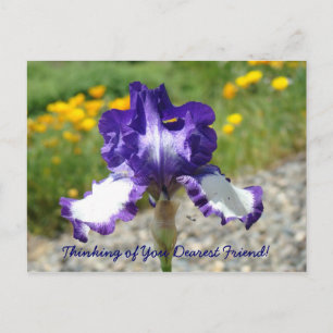 Thinking of You Dearest Friend! postcard Friends