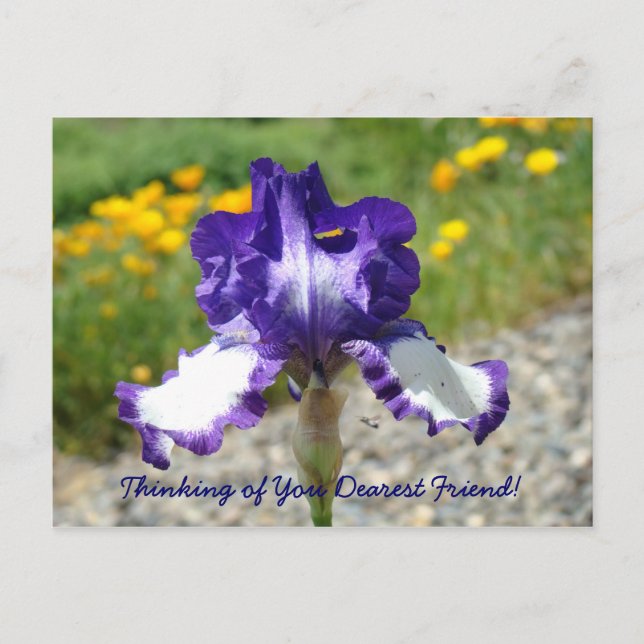 Thinking of You Dearest Friend! postcard Friends (Front)