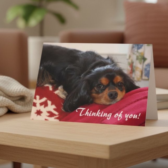 Thinking of You Dog Lover Cavalier King Charles  Card (Creator Uploaded)