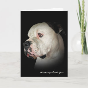 thinking of you-drooling Bulldog Card