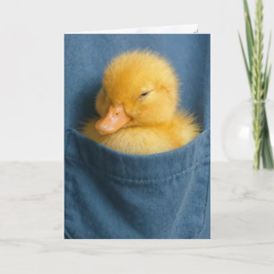 Thinking of You Duckling In a Blue T-shirt Pocket Card