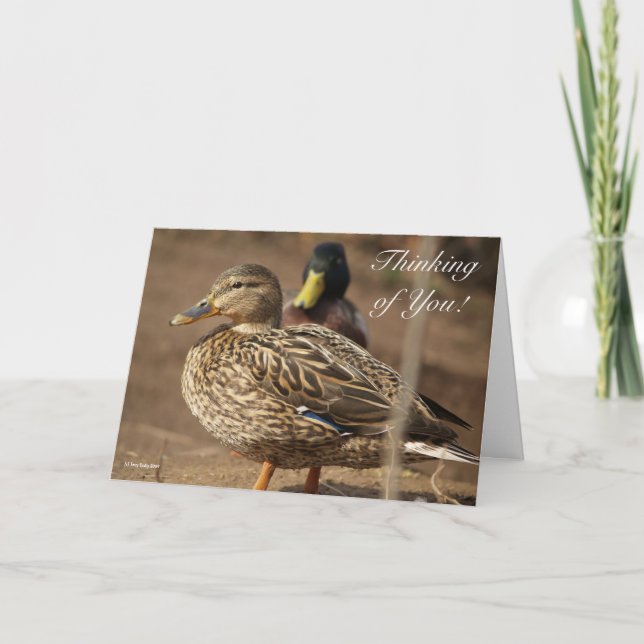 Thinking of You Ducks Card (Front)