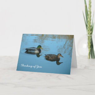 Thinking of You Ducks Card
