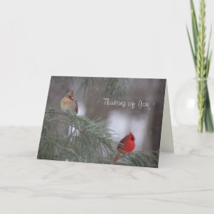 Thinking of You - Encouragement, Sympathy, Prayers Holiday Card