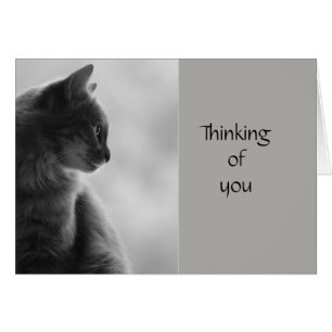 Thinking of You Encouraging Thoughtful Cat Kitten