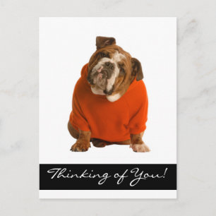 Thinking of You English Bulldog Puppy Dog Postcard