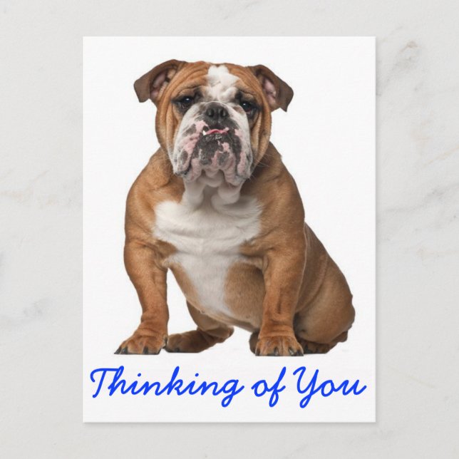 Thinking of You English Bulldog Puppy Dog Postcard (Front)