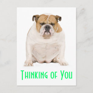 Thinking of You English Bulldog Puppy Dog Postcard