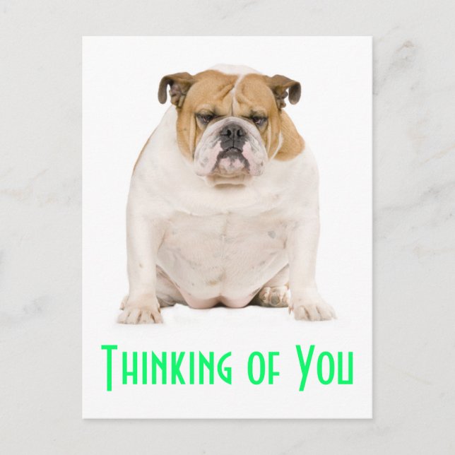 Thinking of You English Bulldog Puppy Dog Postcard (Front)