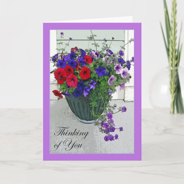 Thinking of You, Flower Arrangement of Petunias Card (Front)
