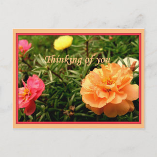 Thinking of You Flower Postcards 8 pack
