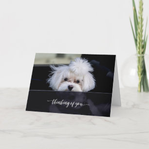 Thinking of You Folded Card