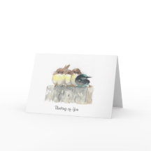 Thinking of You - Four little birds, 1 stands out