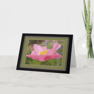 Thinking Of You Framed Pink Poppy Photo Template