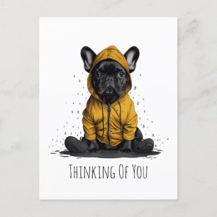 Thinking Of You French Bulldog Wearing Raincoat Postcard
