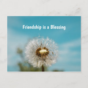 Thinking of you Friend Postcard