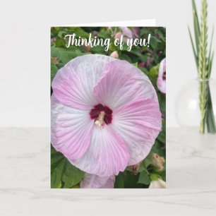 Thinking of you, friendship, folded greeting  card