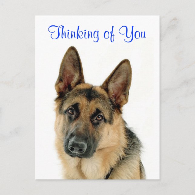 Thinking Of  You German Shepherd  Doggy  Postcard (Front)