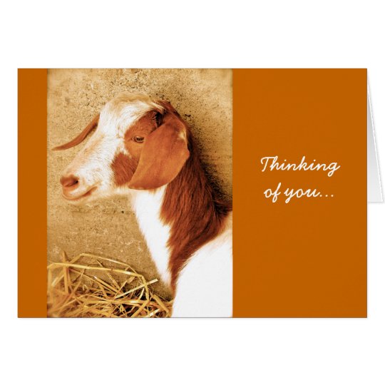 Thinking of You Goat Card