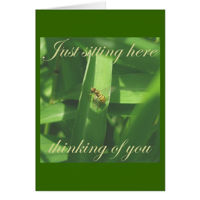 Thinking of you Golden Bee Fly Card (Front)