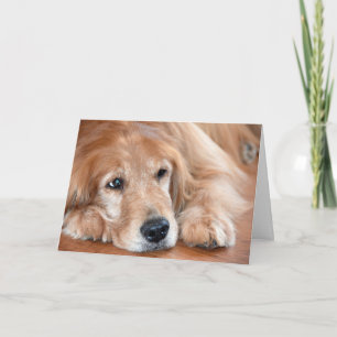 Thinking of You Golden Retriever Card
