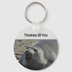 Thinking Of You Gray Elephant Seal Ocean Animal Key Ring