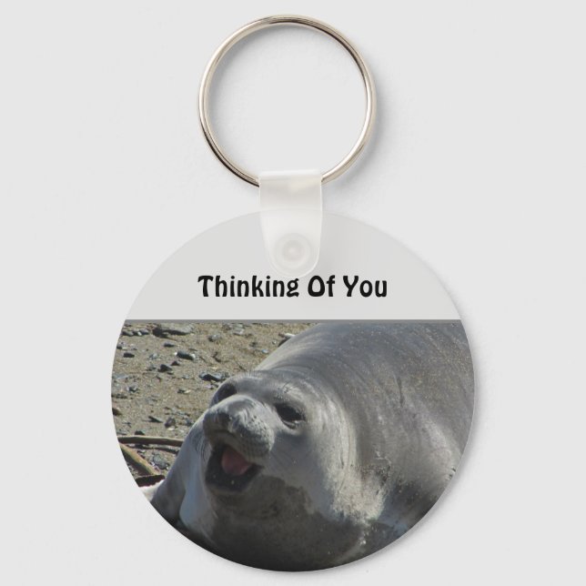 Thinking Of You Gray Elephant Seal Ocean Animal Key Ring (Front)