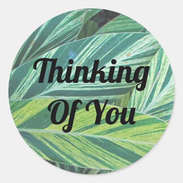 Thinking of You Green Striped Tropical Leaves Classic Round Sticker (Front)
