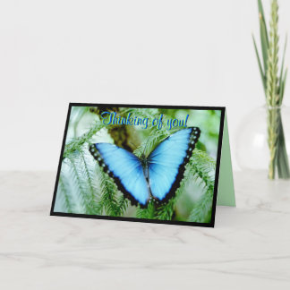 Thinking of You Greeting Card