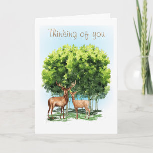 Thinking of you Greeting Card 