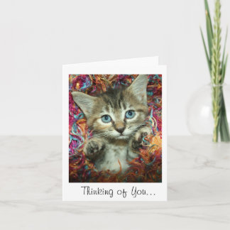 Thinking of You... Grey Tabby Kitten Card