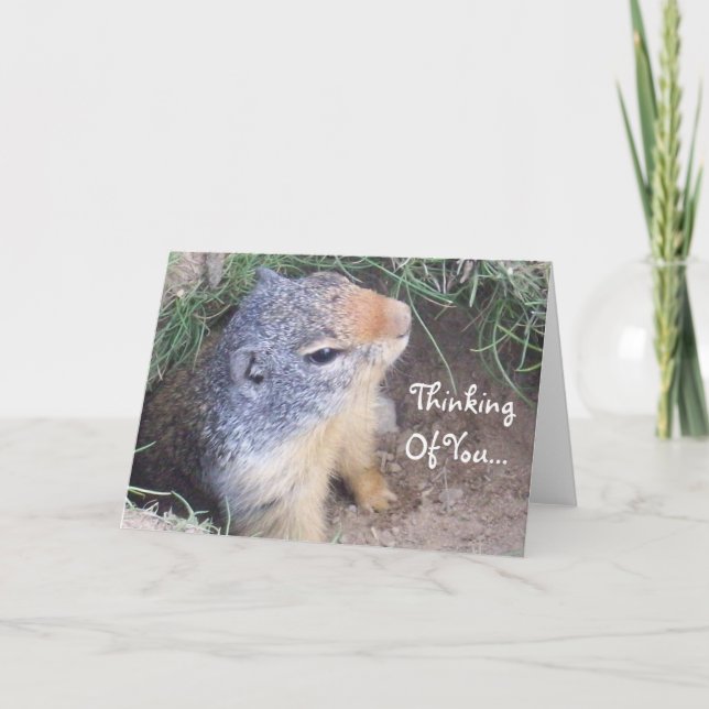 Thinking Of You Groundhog Card (Front)