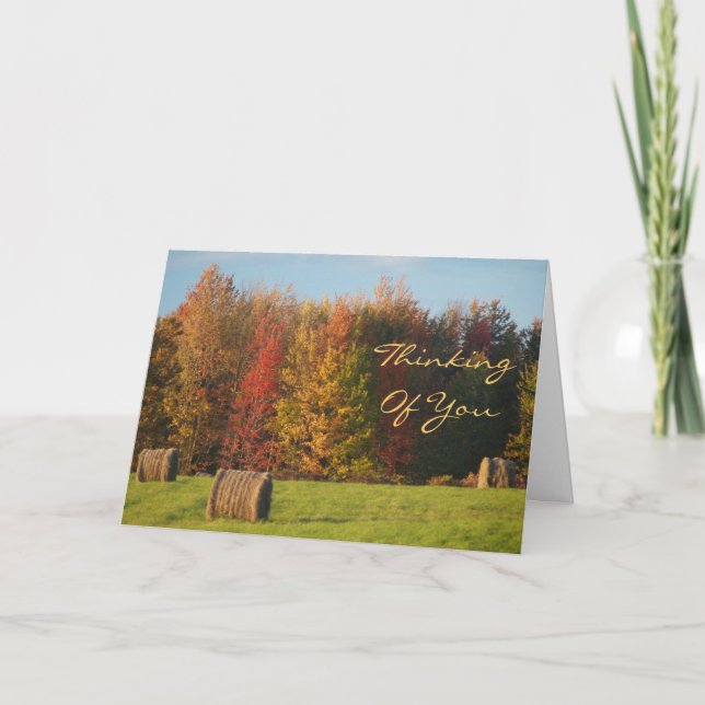 Thinking Of  You Holiday Card (Front)