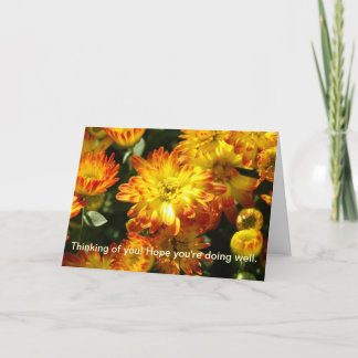 Thinking of you! Hope you're doing well. Card