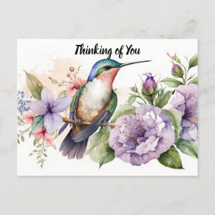 Thinking of You Hummingbird Postcard