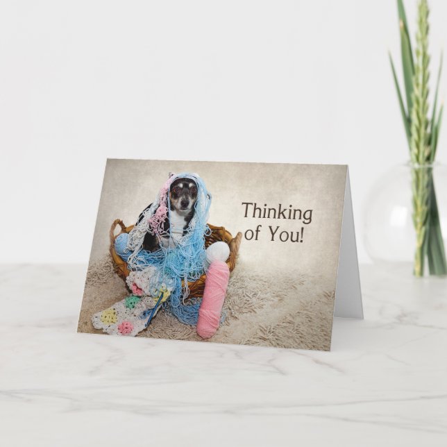 Thinking of You - HUMOR - DOG TANGLED IN YARN Card (Front)