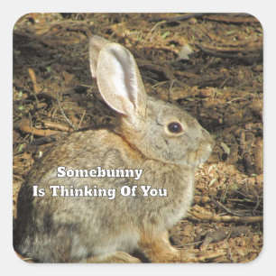 Thinking Of You Humorous Quote Brown Bunny Photo Square Sticker
