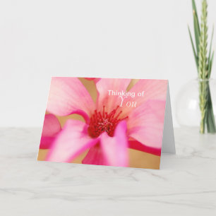 Thinking of You Japanese Magnolia Card