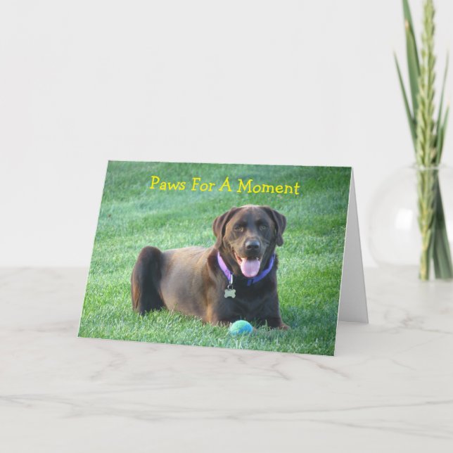 Thinking Of You Labrador Retriever Greeting Card (Front)