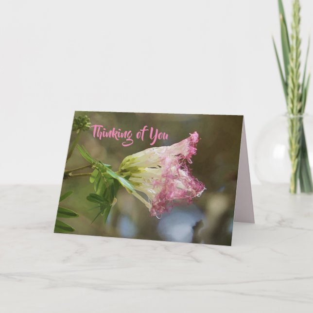 Thinking of You Lacy Pink Flower Card (Front)